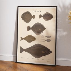 Fisketavle II 1939 - Zoologi