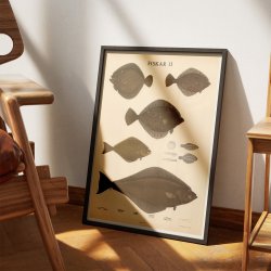 Fisketavle II 1939 - Zoologi