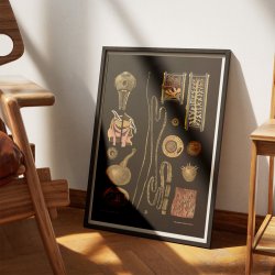 Bndelorm 1910 - Biologi