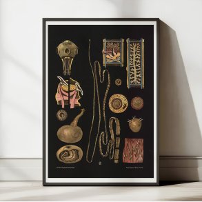 Bndelorm 1910 - Biologi