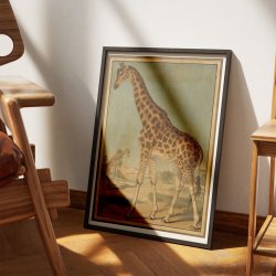 Giraf 1888 - Zoologi