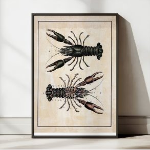 Flodkrebs 1888 - Biologi