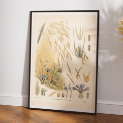 Rug 1910 - Biologi &amp; botanik