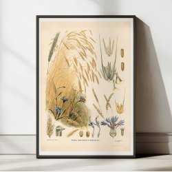 Rug 1910 - Biologi &amp; botanik