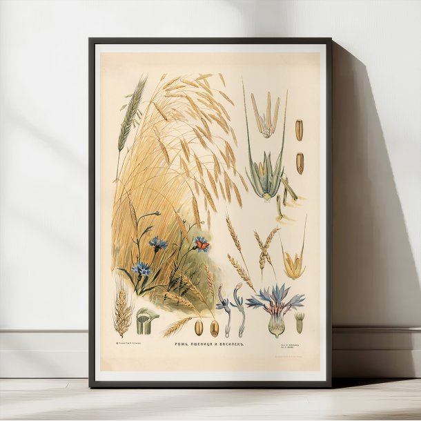 Rug 1910 - Biologi &amp; botanik