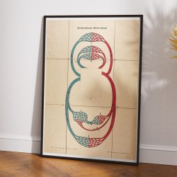 Blodkredslbet 1910 - Anatomi