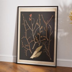 Trer &amp; buske i vinterdragt 1914 - Botanik