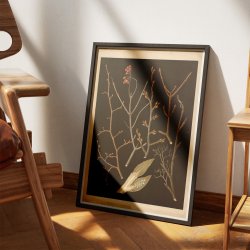 Trer &amp; buske i vinterdragt 1914 - Botanik