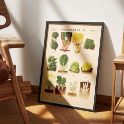 Kkkenurter III 1936 - Botanik