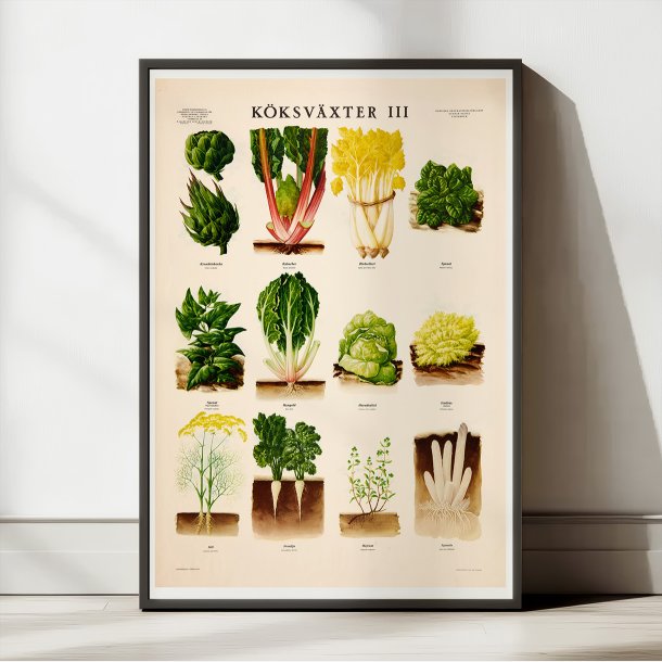 Kkkenurter III 1936 - Botanik