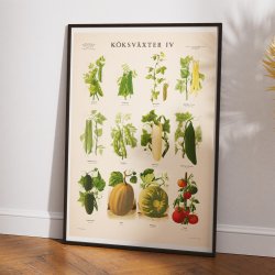 Kkkenurter IV 1936 - Botanik