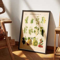 Kkkenurter IV 1936 - Botanik