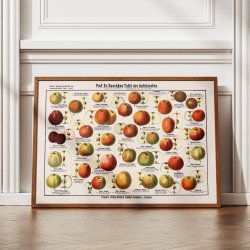 blesorter 1909 - Raschkes tavle