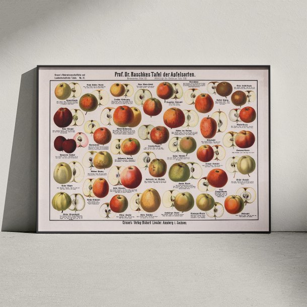 blesorter 1909 - Raschkes tavle