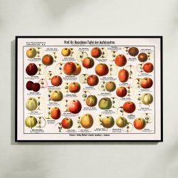 blesorter 1909 - Raschkes tavle