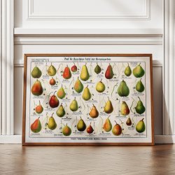 Presorter 1909 - Raschkes tavle