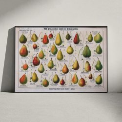 Presorter 1909 - Raschkes tavle