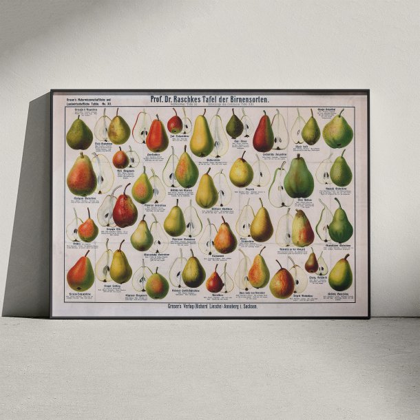 Presorter 1909 - Raschkes tavle