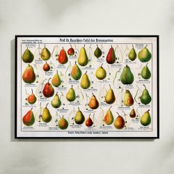 Presorter 1909 - Raschkes tavle