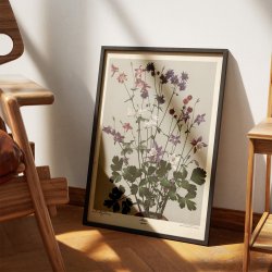 Akeleje 1910 - Botanik