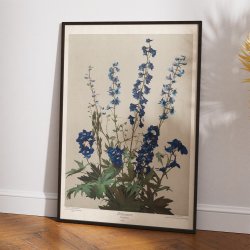 Ridderspore 1910 - Botanik