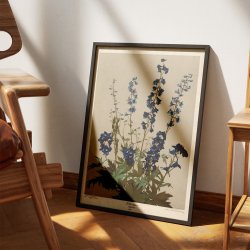 Ridderspore 1910 - Botanik