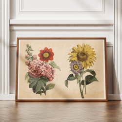 Stokrose, solsikke m.fl. 1879 - Botanik