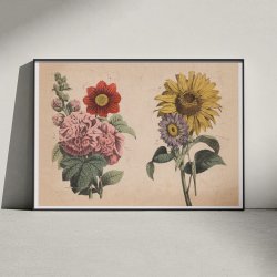 Stokrose, solsikke m.fl. 1879 - Botanik