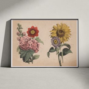 Stokrose, solsikke m.fl. 1879 - Botanik