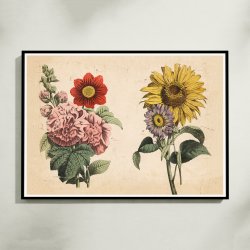 Stokrose, solsikke m.fl. 1879 - Botanik