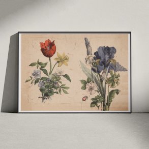 Haveblomster II 1879 - Botanik