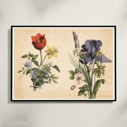 Haveblomster II 1879 - Botanik