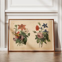 Haveblomster I 1879 - Botanik