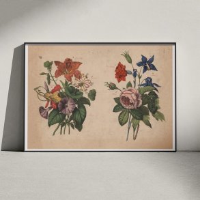 Haveblomster I 1879 - Botanik