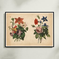 Haveblomster I 1879 - Botanik