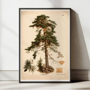 Rdgran 1889 - Botanik