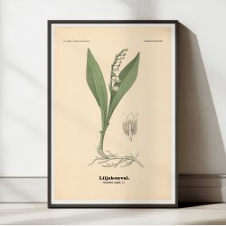 Liljekonval 1899 - Botanik