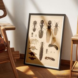 Myrer 1900 - Biologi