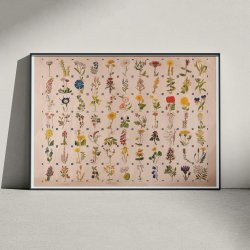 Blomster 1900 - Botanik