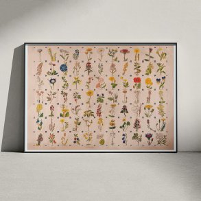 Blomster 1900 - Botanik