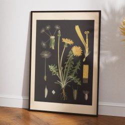 Lvetand 1905 - Botanik