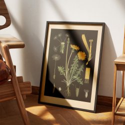 Lvetand 1905 - Botanik