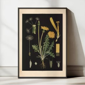 Lvetand 1905 - Botanik