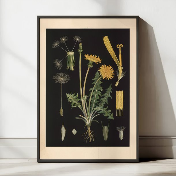 Lvetand 1905 - Botanik