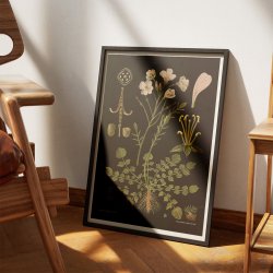 Engkarse 1909 - Botanik