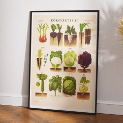 Kkkenurter II 1936 - Biologi &amp; botanik