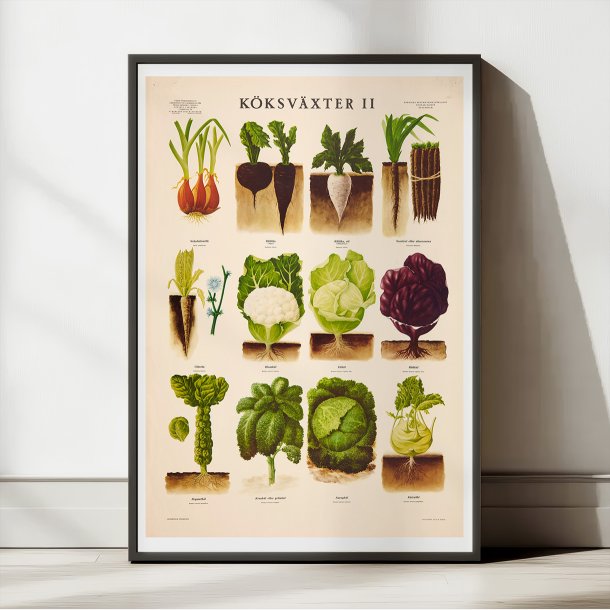 Kkkenurter II 1936 - Biologi &amp; botanik