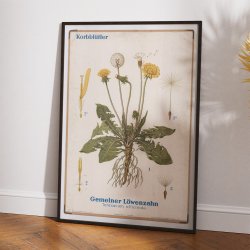 Mlkebtte 1961 - Biologi &amp; botanik