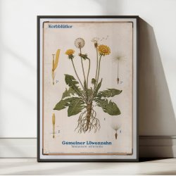 Mlkebtte 1961 - Biologi &amp; botanik