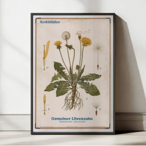 Mlkebtte 1961 - Biologi & botanik